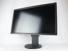 Monitory