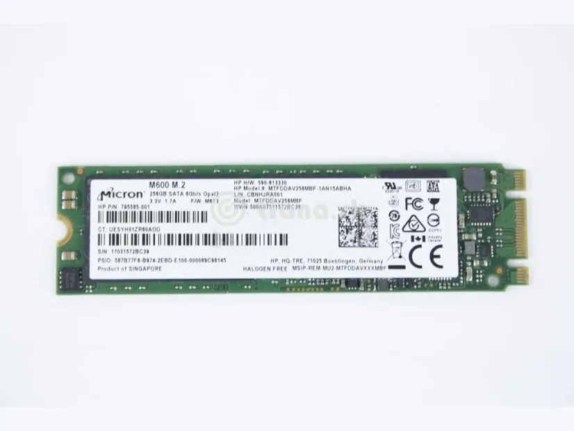 Micron 256GB M.2 SATA SSD disk